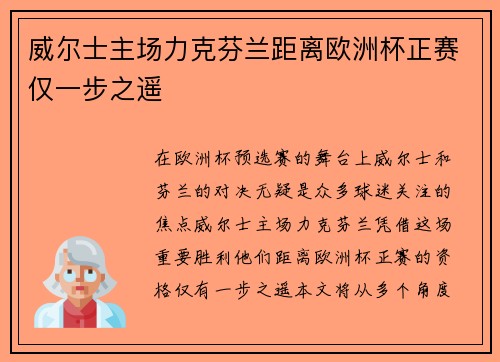 威尔士主场力克芬兰距离欧洲杯正赛仅一步之遥