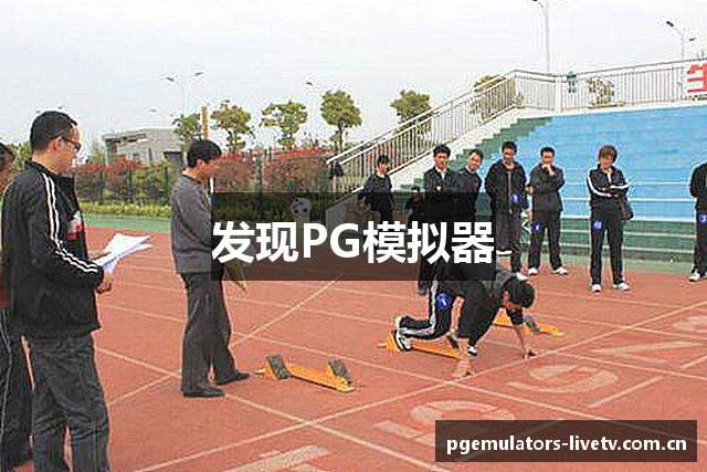发现PG模拟器